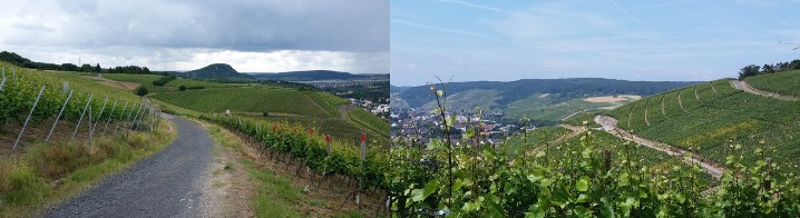 sonnenberg